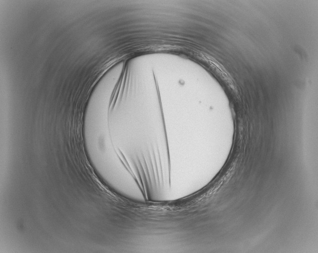 X0000115541185200912041004