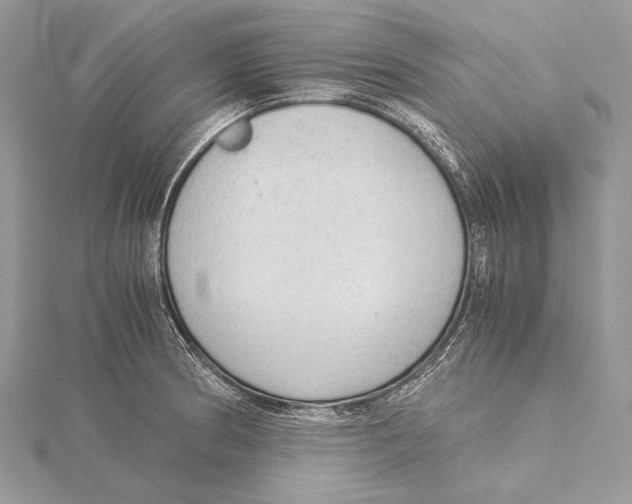 X0000115541186200912041004