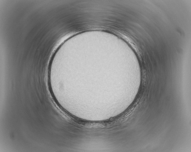 X0000115541187200912041004