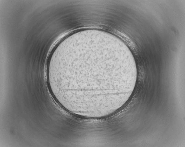 X0000115541188200912041004