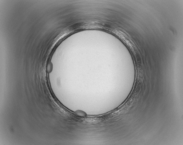 X0000115541189200912041004