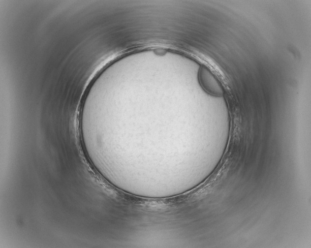 X0000115541190200912041004