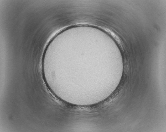 X0000115541191200912041004