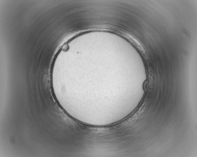 X0000115541192200912041004