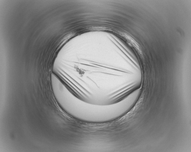 X0000115541193200912041004