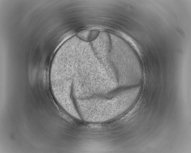 X0000115541194200912041004