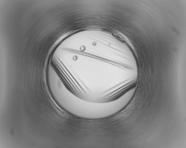 X0000115541195200912041004