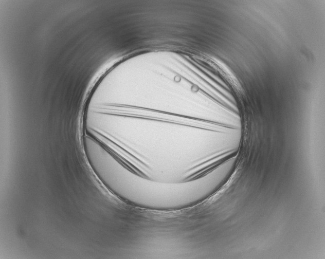 X0000115541196200912041004