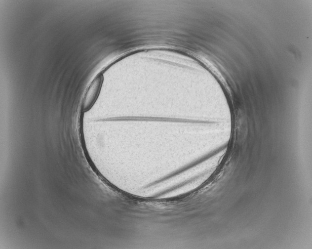 X0000115541197200912041004