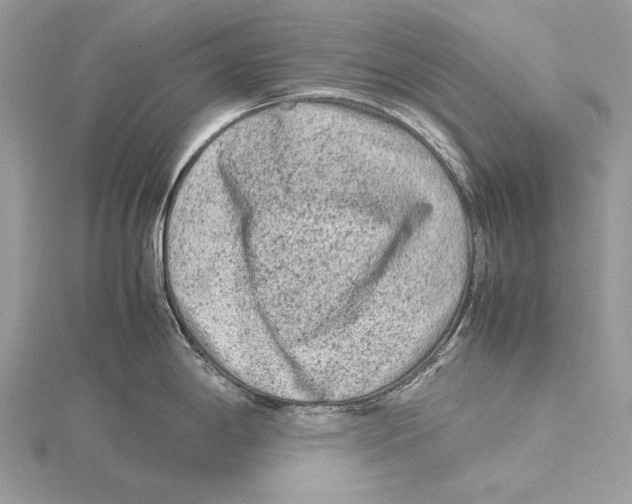 X0000115541198200912041004