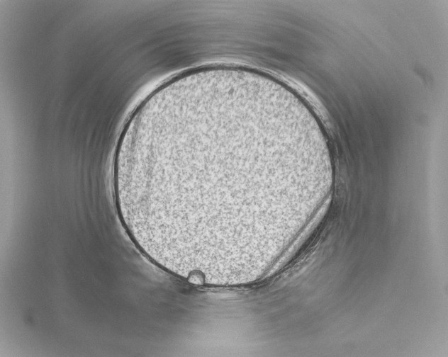 X0000115541199200912041004