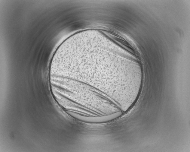 X0000115541200200912041004