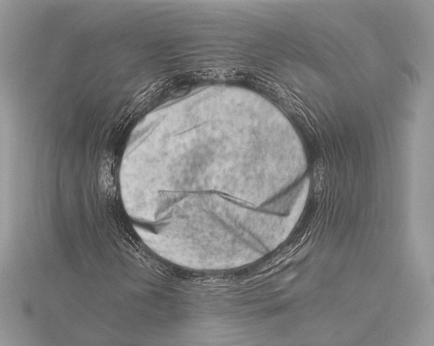 X0000115541202200912041003