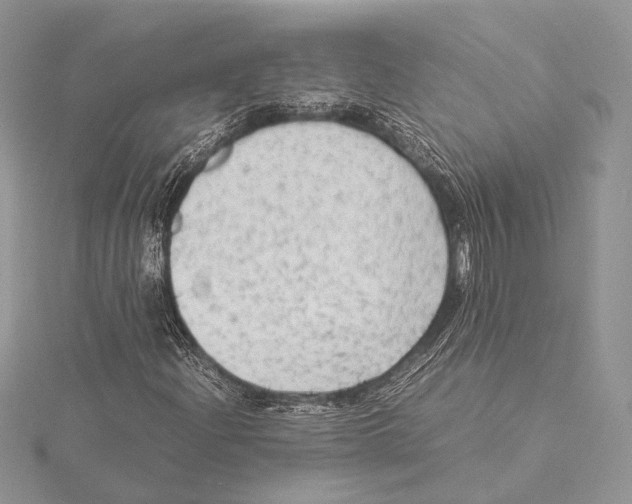 X0000115541204200912041003