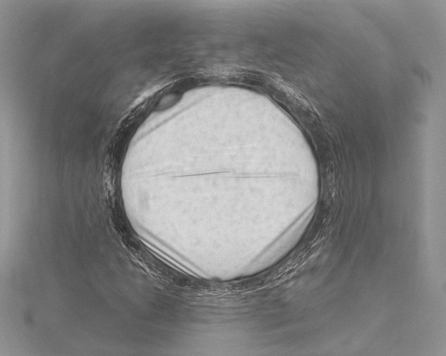 X0000115541206200912041003