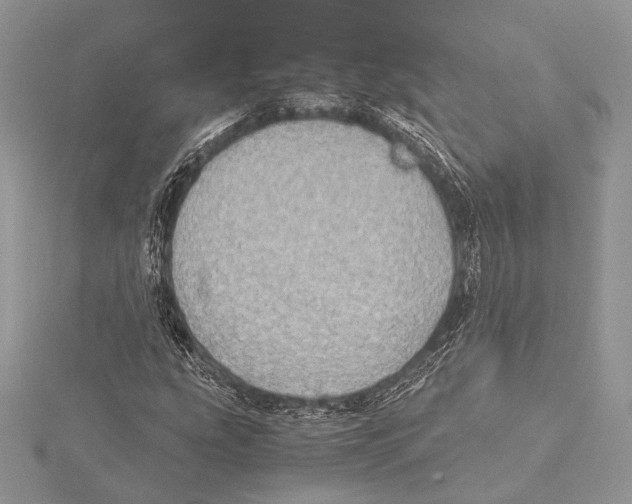 X0000115541207200912041003