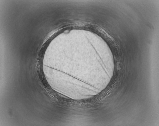 X0000115541208200912041003