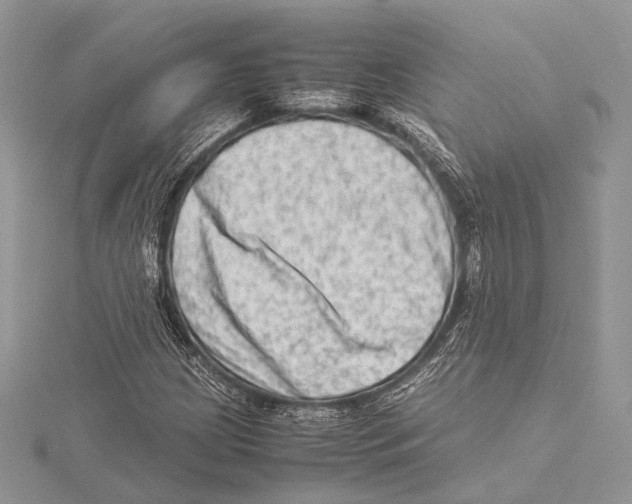 X0000115541209200912041003