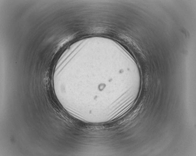 X0000115541210200912041003