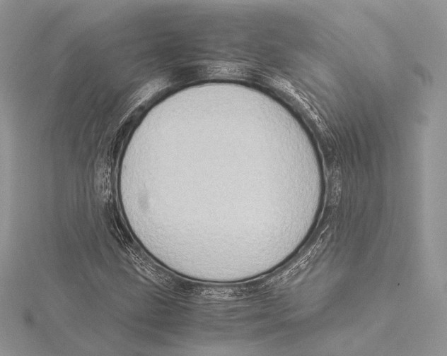 X0000115541211200912041003