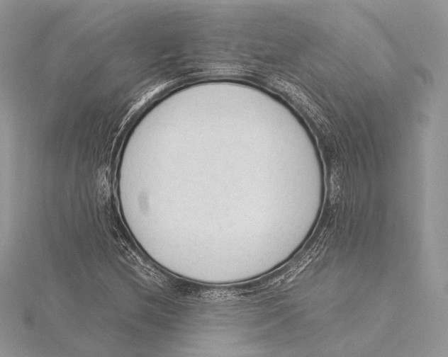 X0000115541212200912041003