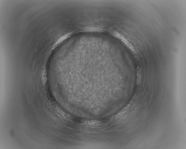 X0000115541213200912041003