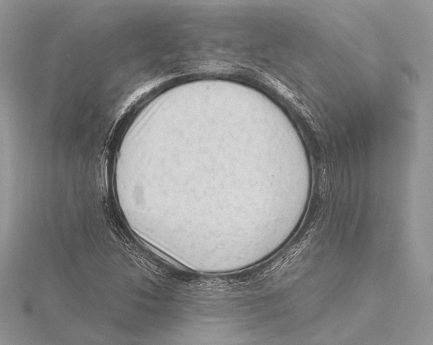 X0000115541214200912041003