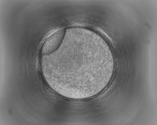 X0000115541215200912041003