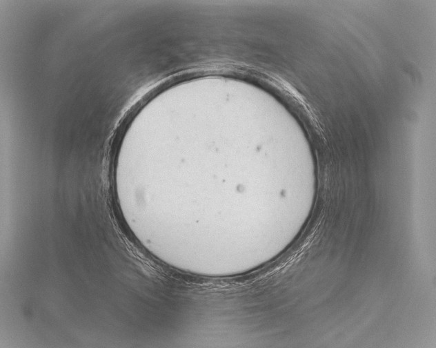 X0000115541216200912041004