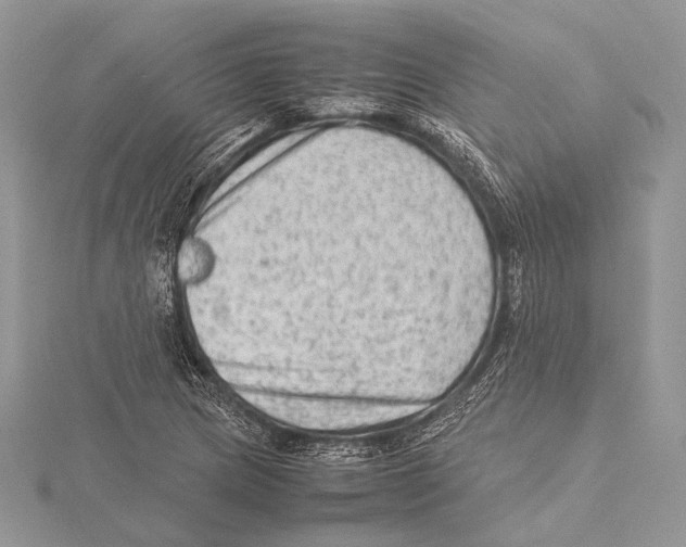 X0000115541217200912041004