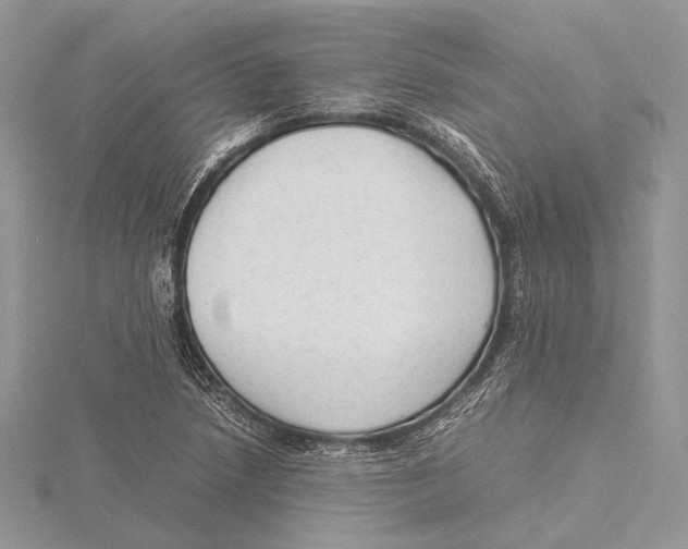 X0000115541218200912041004