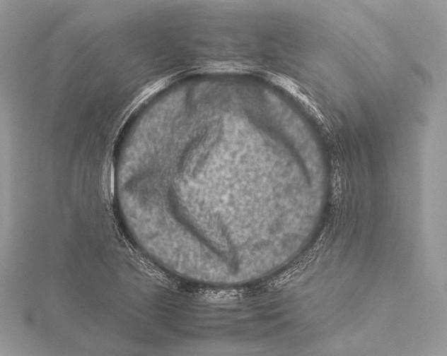 X0000115541221200912041004