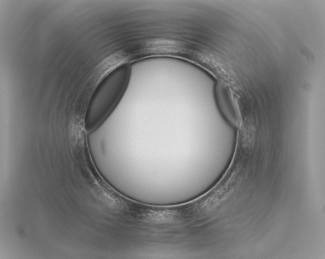 X0000115541225200912041004