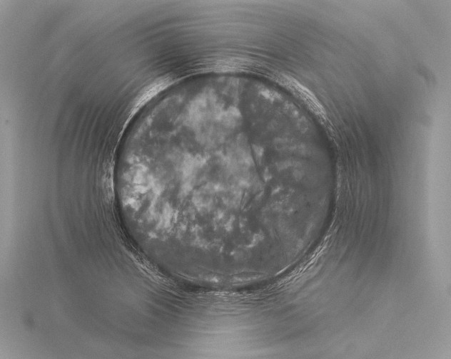 X0000115541226200912041004