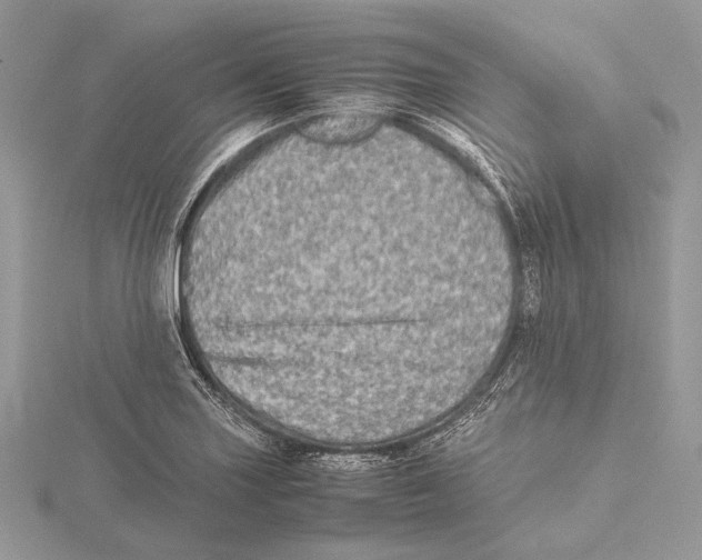 X0000115541227200912041004