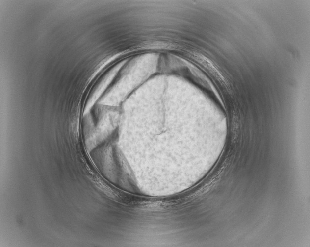 X0000115541228200912041004