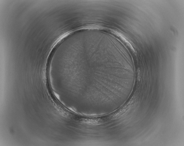 X0000115541229200912041004