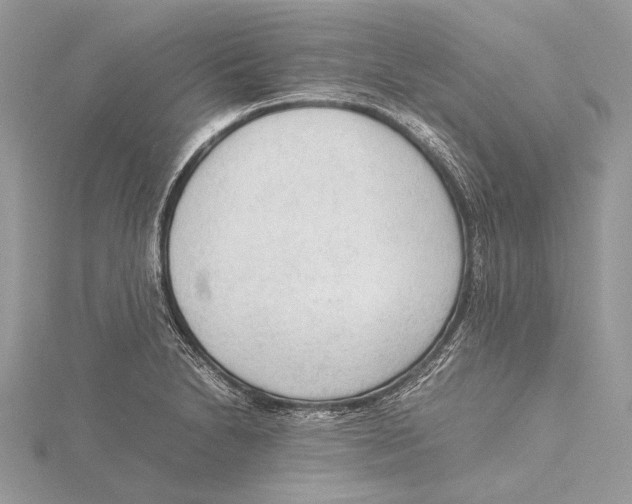 X0000115541230200912041004