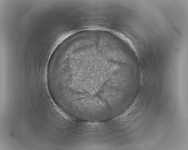 X0000115541231200912041004