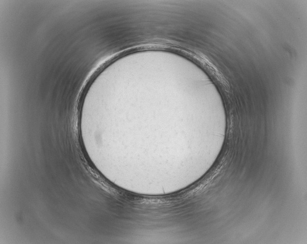 X0000115541232200912041004