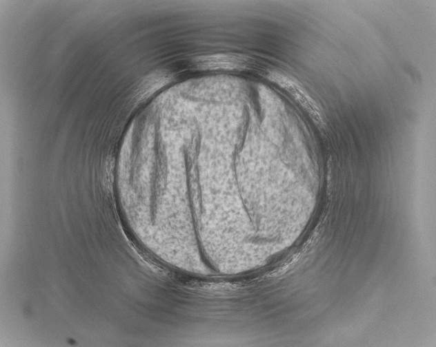 X0000115541233200912041004