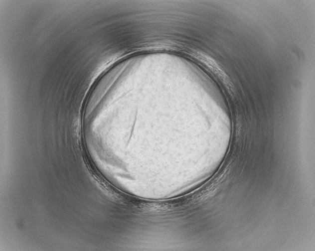 X0000115541234200912041004