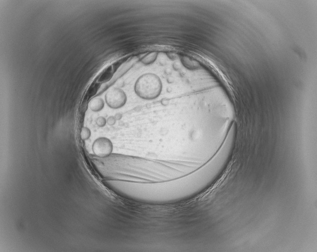 X0000115541235200912041004