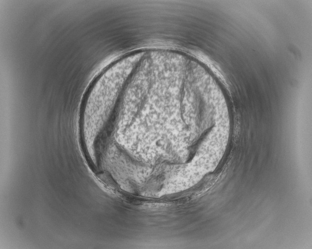 X0000115541237200912041004