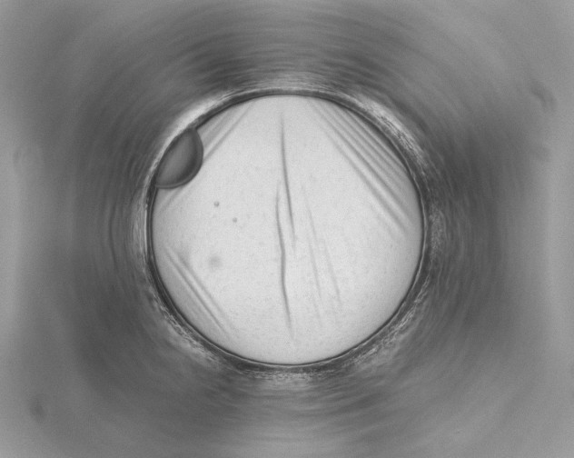 X0000115541238200912041004