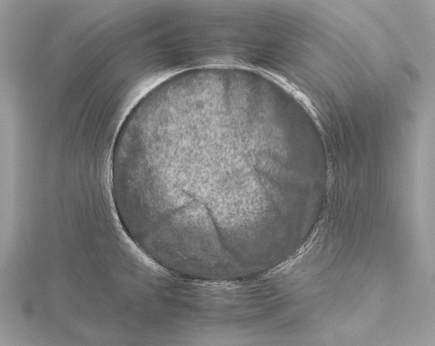 X0000115541239200912041004