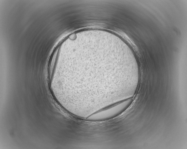 X0000115541240200912041004