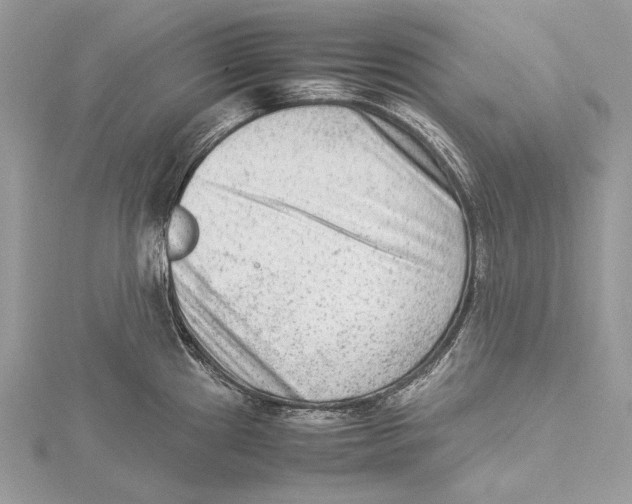 X0000115541241200912041004