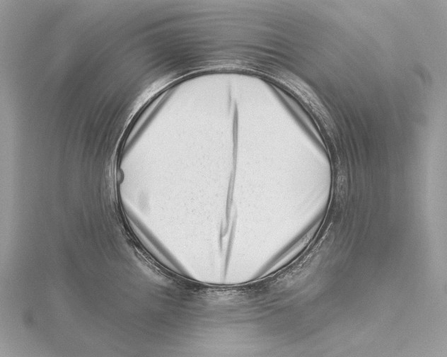 X0000115541242200912041004