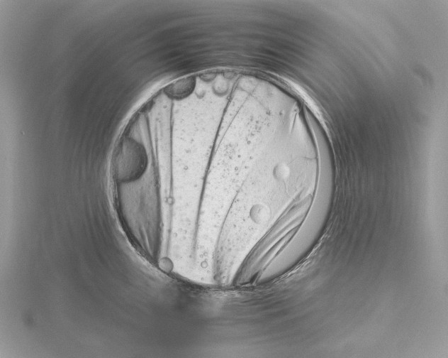 X0000115541243200912041004